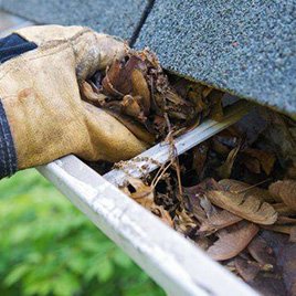 Gutter cleaning